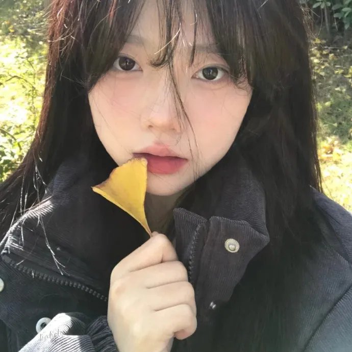 公平游戏
