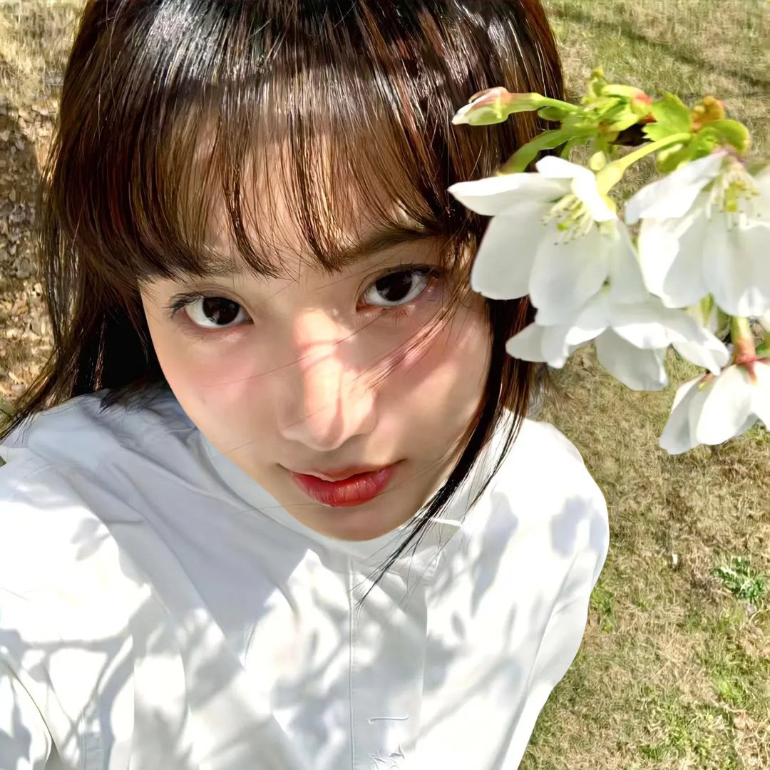 夺命桃花